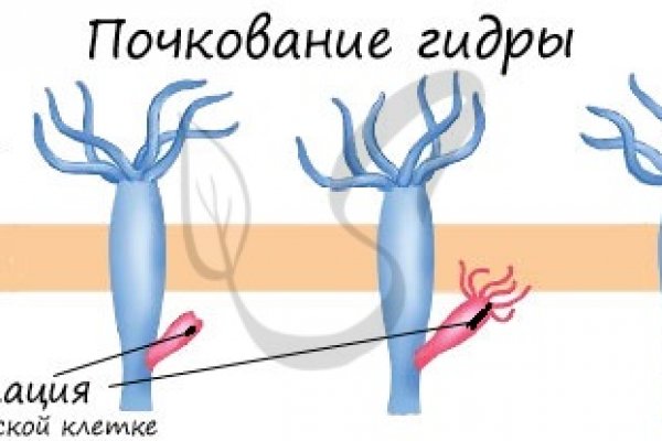 Кракен ссылка в тор