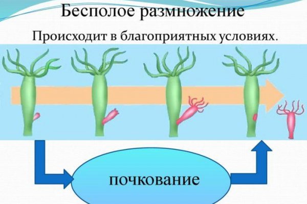 Кракен ссылка тор kraken014 com