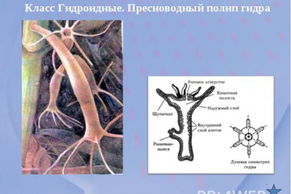 Что случилось с кракеном сайт